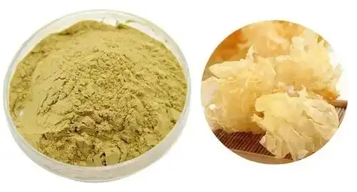 Organic Tremella Fuciformis Extract 